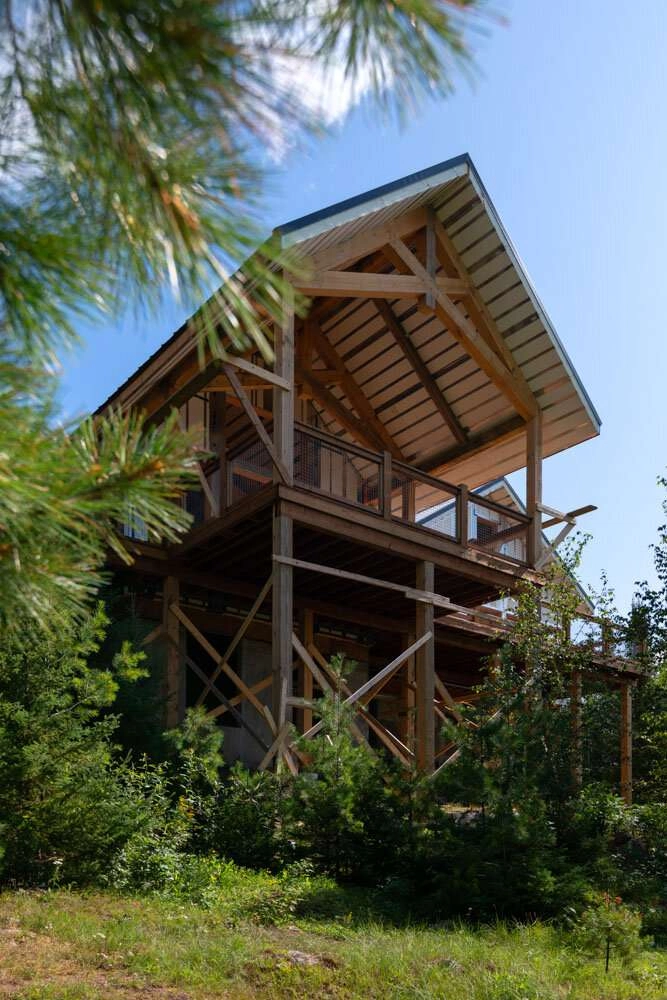 View from the ground looking up at the lake of the woods cabin © robert lowdon