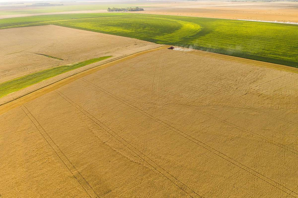 Giant agricultural fields in southern manitoba. © robert lowdon