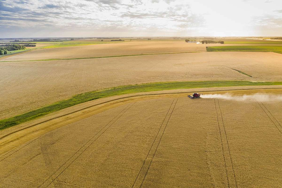 A single combine against the vastness of the canadian prairie. © robert lowdon