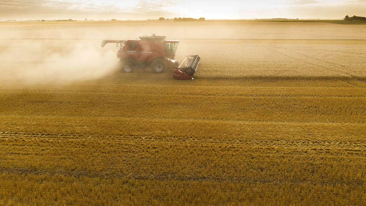 Tracking the combine through the dust cloud. © robert lowdon