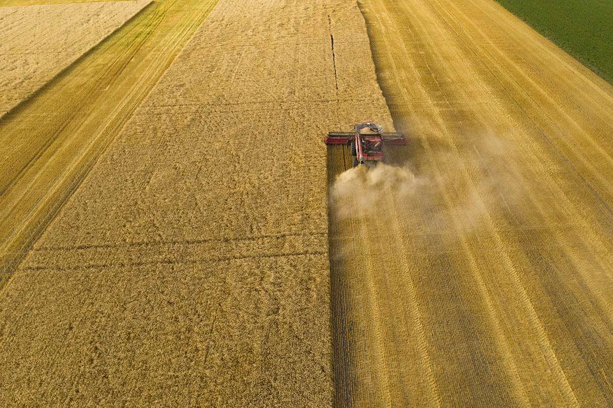 Patterns in the field, are visible form above. © robert lowdon