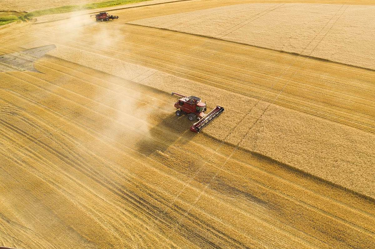 Two different combines work together. © robert lowdon