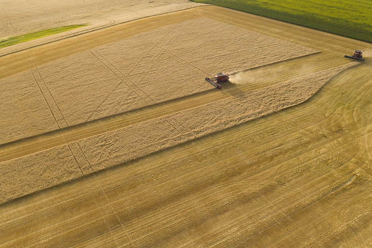 Agriculture-photography-017. Jpg