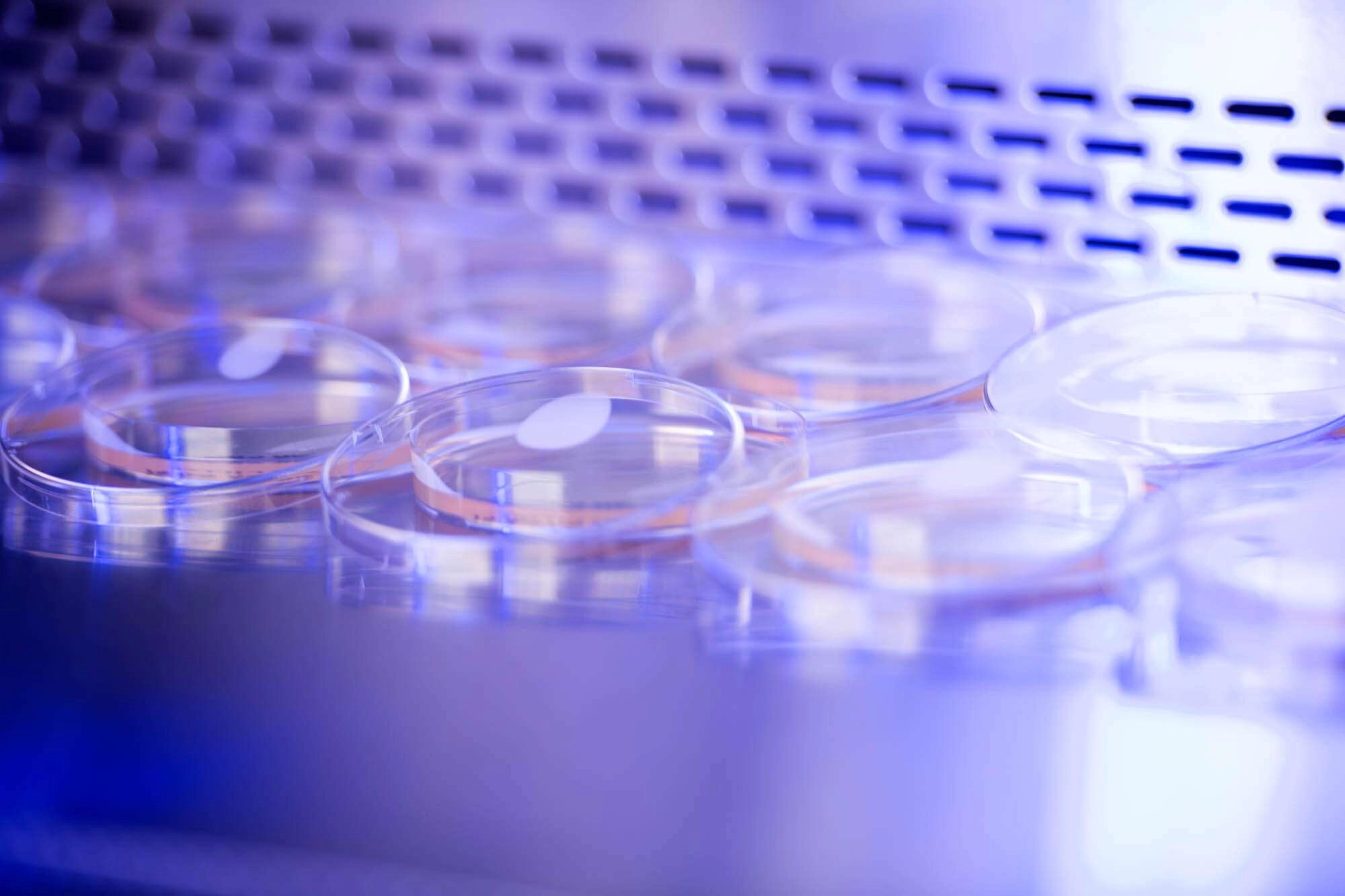 The following is a case study about a laboratory photography project we completed in 2020 for noblegen inc. (now solar bio tech), an advanced digital biology company within the food and agriculture industry. Our client commissioned us to capture hero images of their employees, as well as interesting and unique images of their lab and equipment. Through their rapid growth as a company, they wanted the images to highlight their innovation in the industry, as well as how they are influencing the future of food and agriculture.