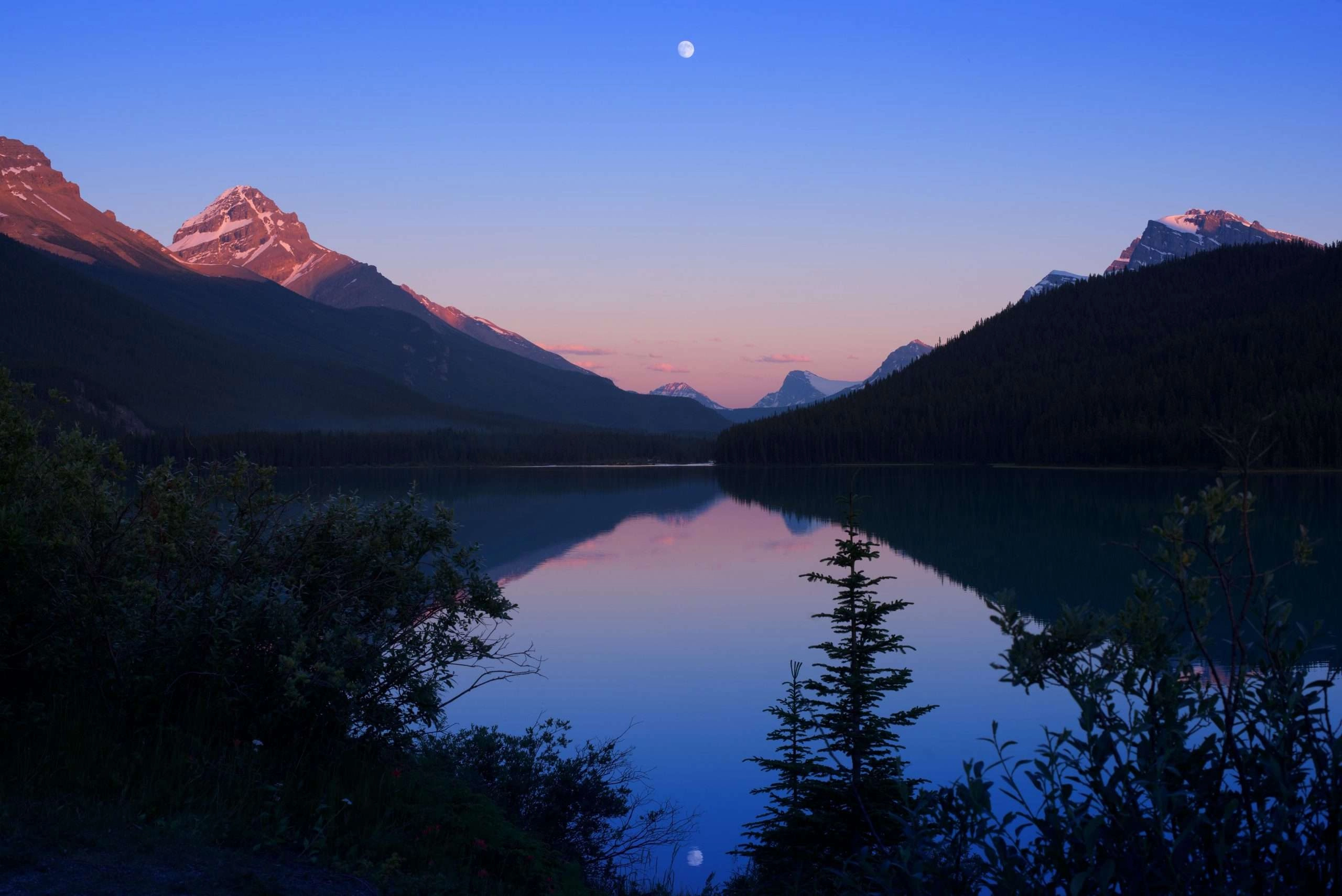 Alberta nature photography