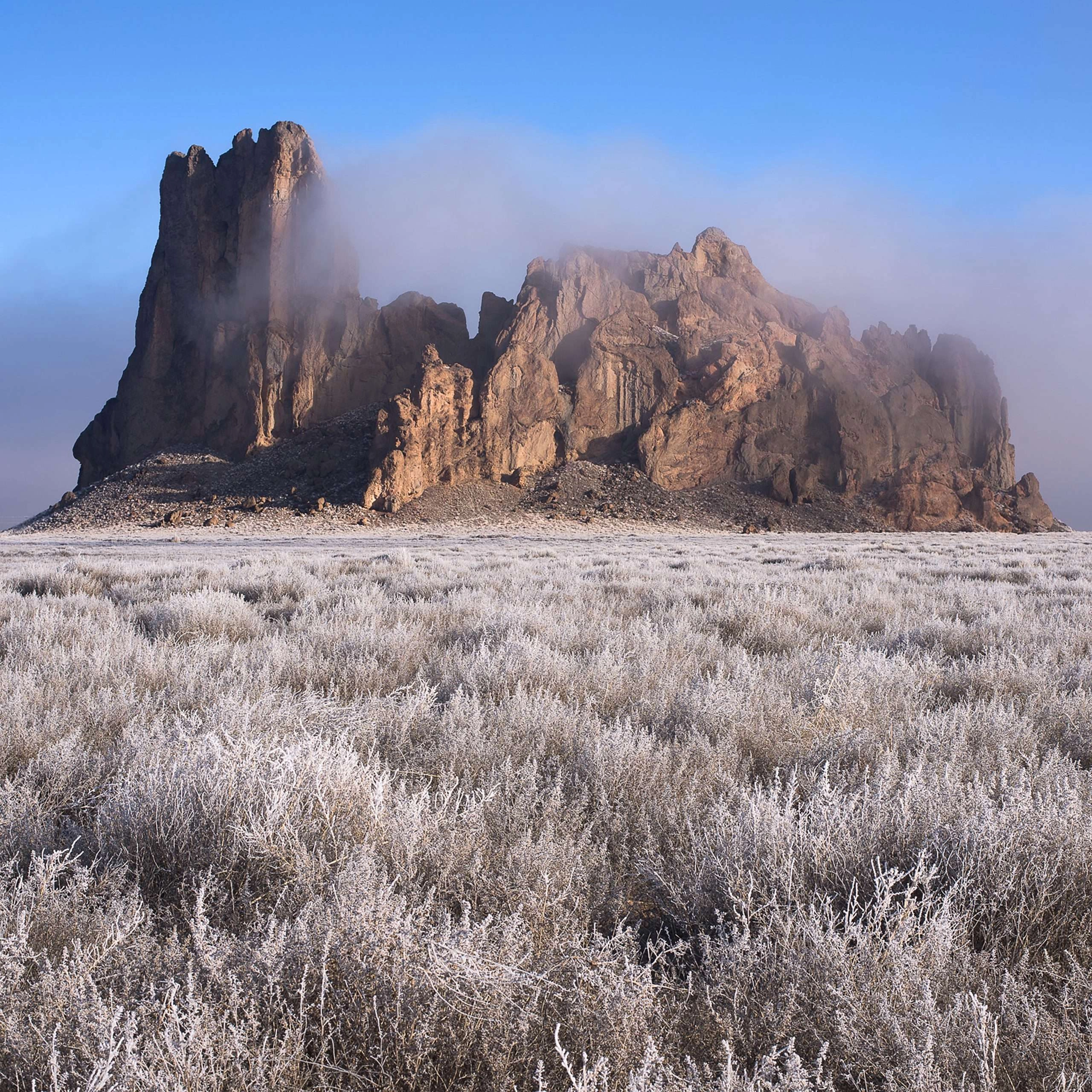 New mexico landscape