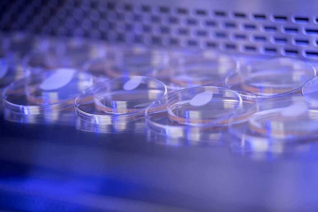 creative lab photography