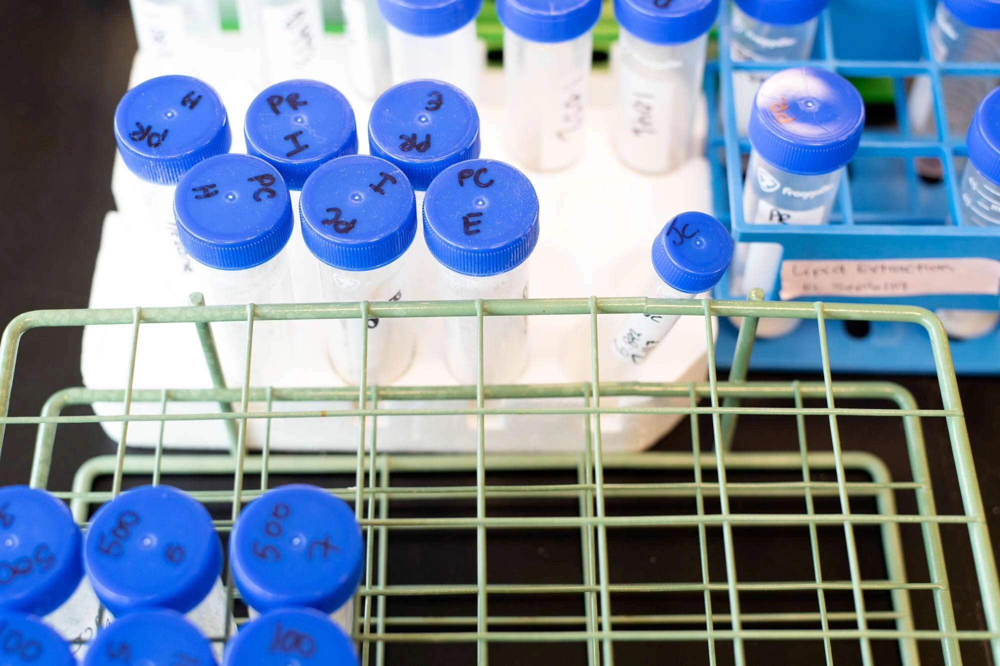 The following is a case study about a laboratory photography project we completed in 2020 for noblegen inc. (now solar bio tech), an advanced digital biology company within the food and agriculture industry. Our client commissioned us to capture hero images of their employees, as well as interesting and unique images of their lab and equipment. Through their rapid growth as a company, they wanted the images to highlight their innovation in the industry, as well as how they are influencing the future of food and agriculture.