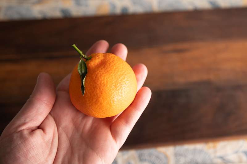 Stock Photography: Story Of An Orange - Orange 1 Orange in hand