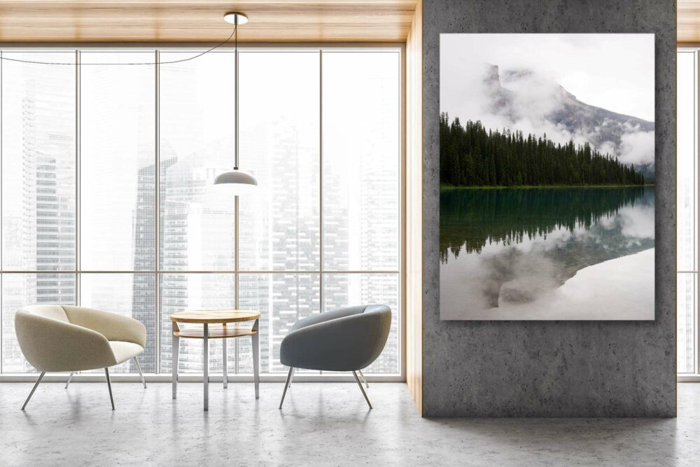 Bc-forest-artwork. Jpg