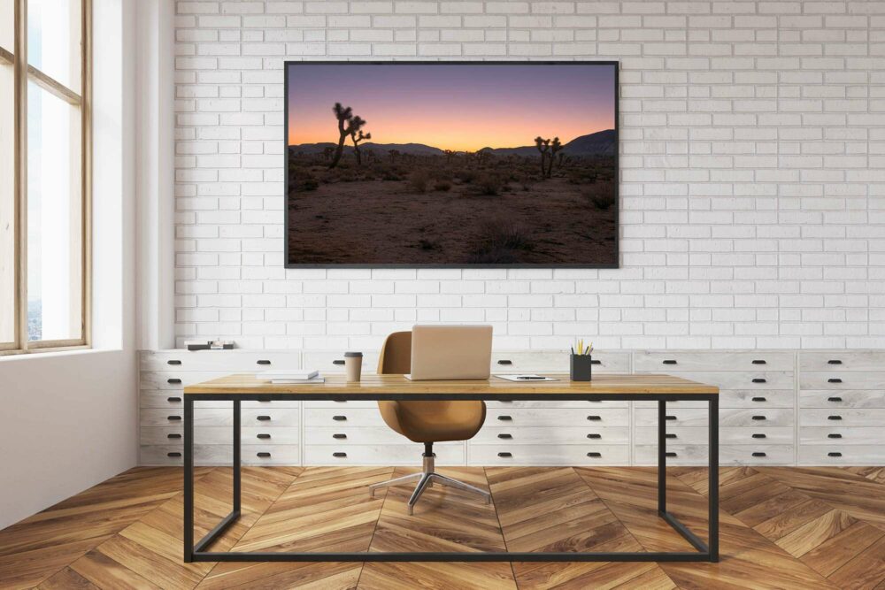 Ghosts-of-the-desert-in-office