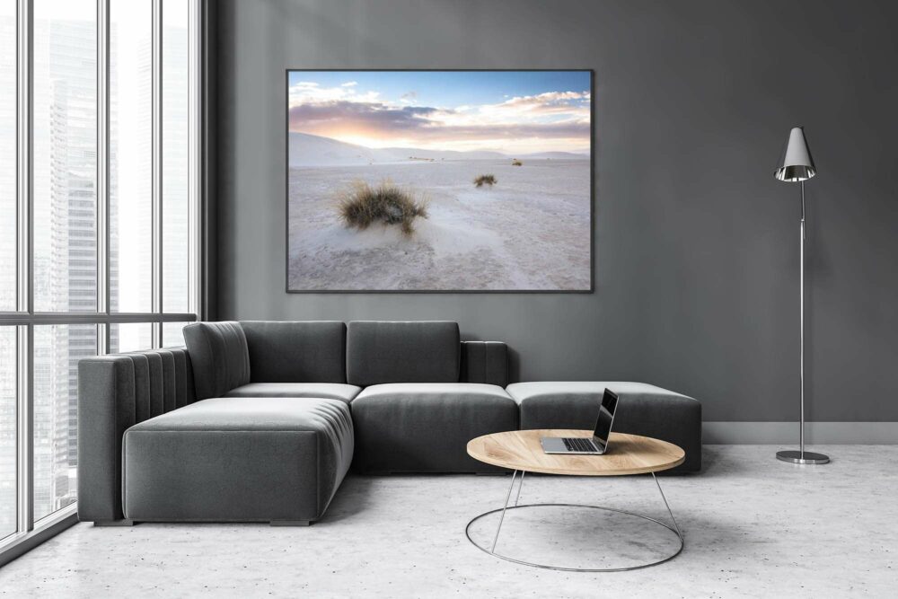 Grass-in-desert-framed-on-wall.