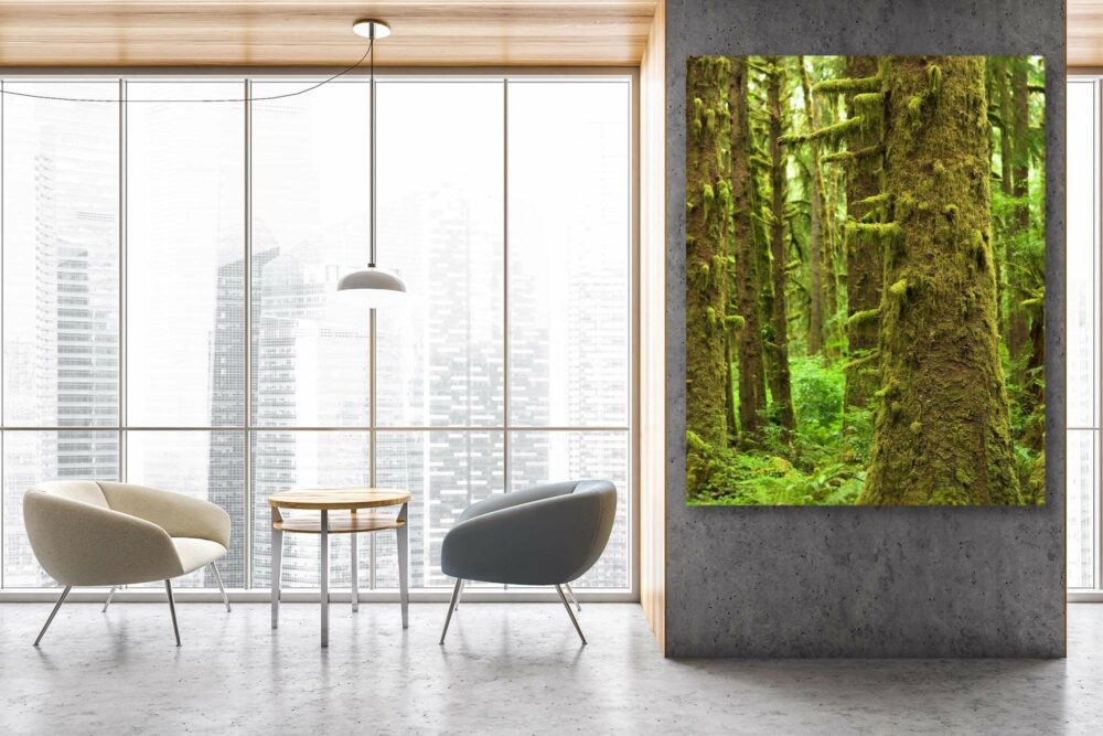 Olympic park wall art