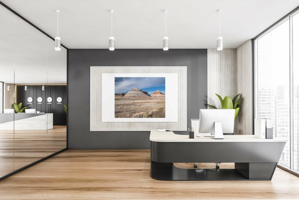 Petrified-forest-artwork-in-office
