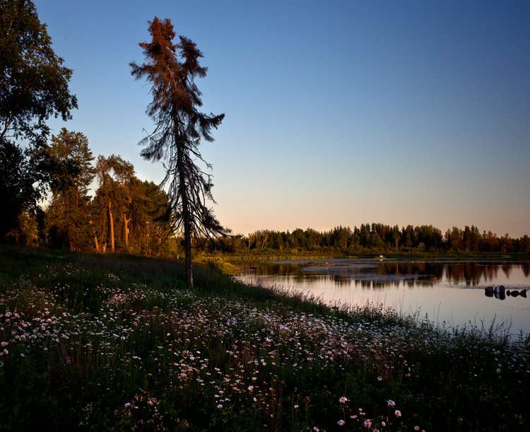 Articles that discuss landscape photography. The include locations, techniques and images.