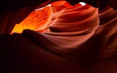 Nature Photography: My 11 Favorite Images