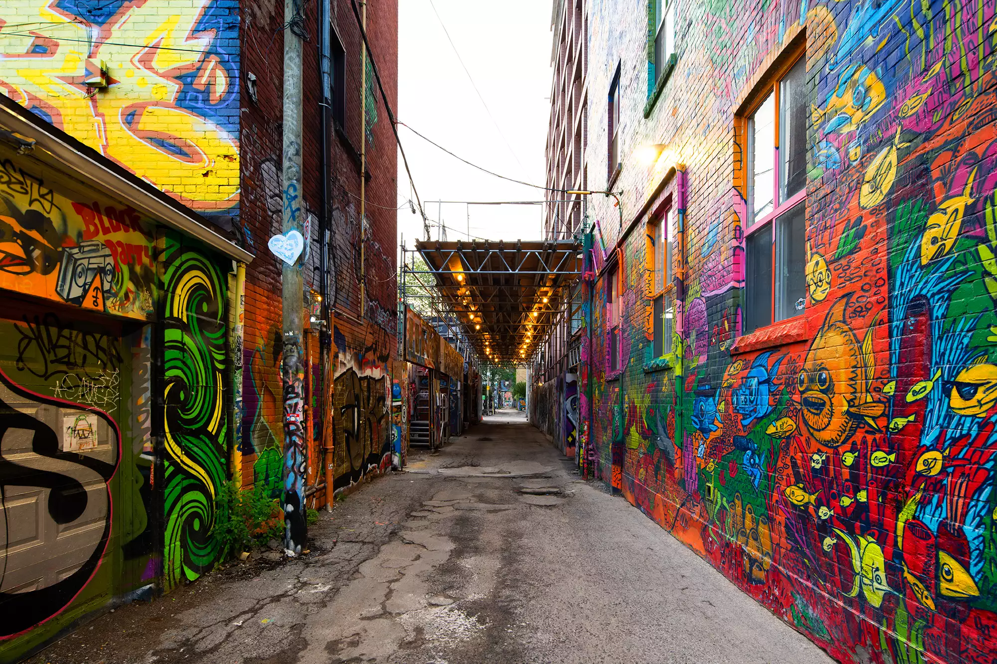 Toronto Photography: Capturing The Beauty Of Canada'S Largest City - Ontario Creates 008 Graffiti alley